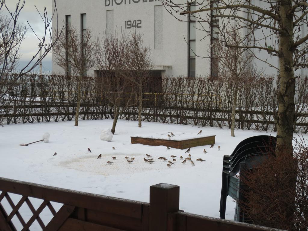 Teigur Guesthouse Akranes Exteriör bild